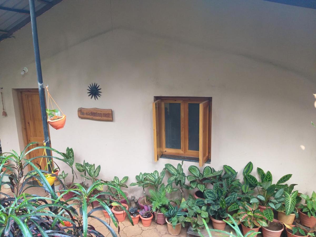 The Enchanting Nest Borim Exterior foto